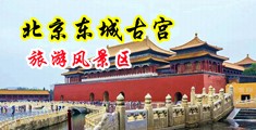 骑鸡巴日逼视频小说中国北京-东城古宫旅游风景区